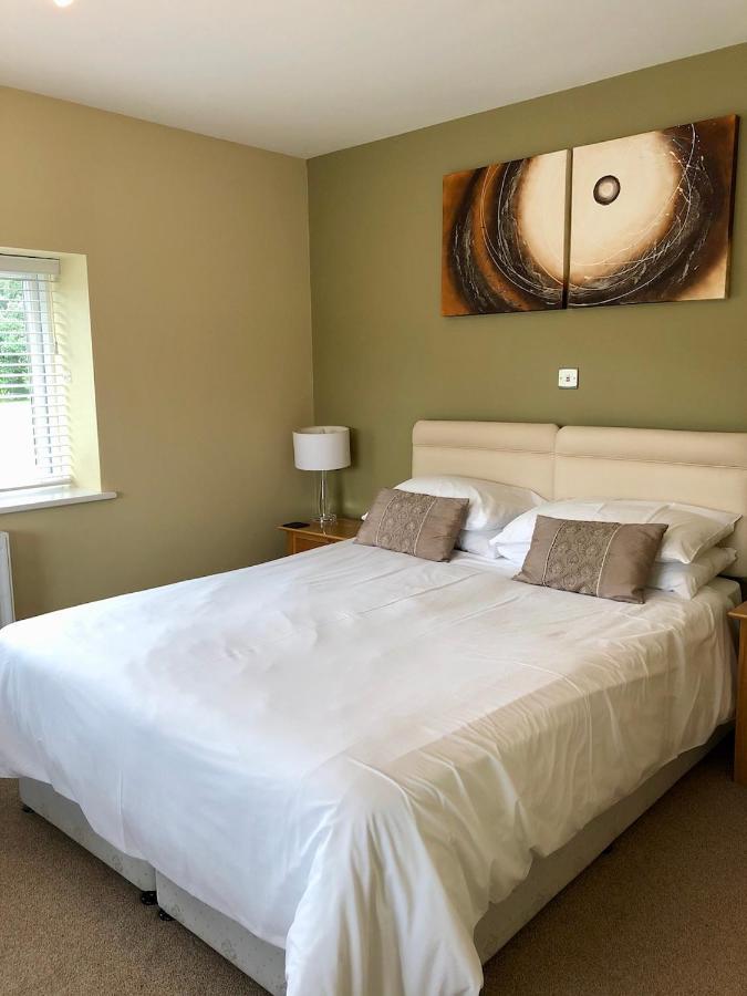 Emlyn Arms Bed and Breakfast Llanarthney Eksteriør billede
