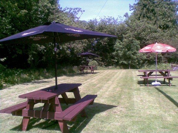 Emlyn Arms Bed and Breakfast Llanarthney Eksteriør billede