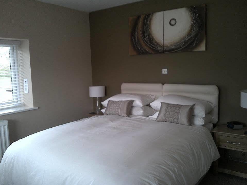 Emlyn Arms Bed and Breakfast Llanarthney Eksteriør billede